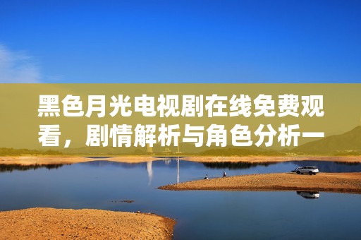 黑色月光电视剧在线免费观看，剧情解析与角色分析一网打尽