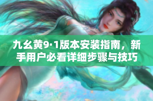 九幺黄9·1版本安装指南，新手用户必看详细步骤与技巧揭秘