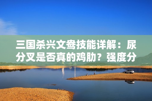 三国杀兴文鸯技能详解：尿分叉是否真的鸡肋？强度分析揭秘