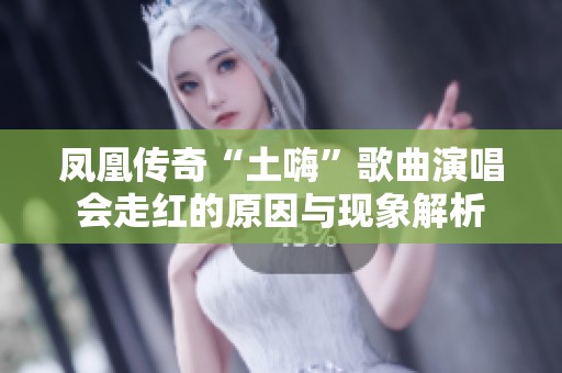 凤凰传奇“土嗨”歌曲演唱会走红的原因与现象解析