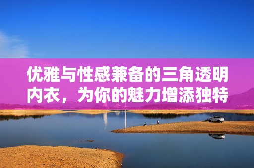 优雅与性感兼备的三角透明内衣，为你的魅力增添独特风采