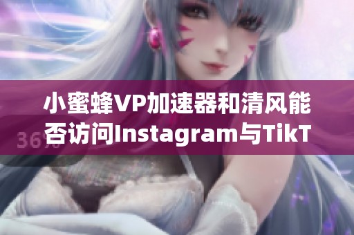小蜜蜂VP加速器和清风能否访问Instagram与TikTok的探讨