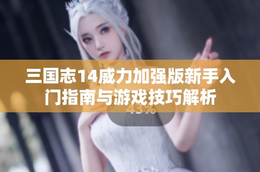 三国志14威力加强版新手入门指南与游戏技巧解析