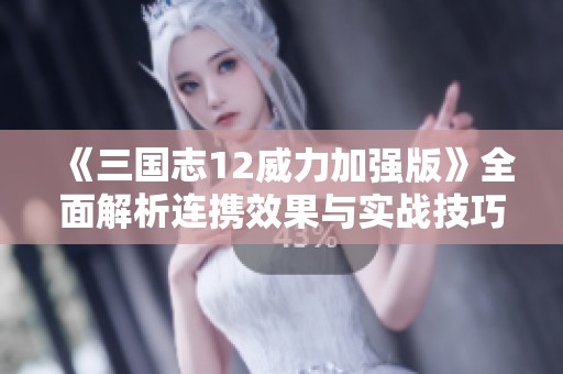 《三国志12威力加强版》全面解析连携效果与实战技巧详解
