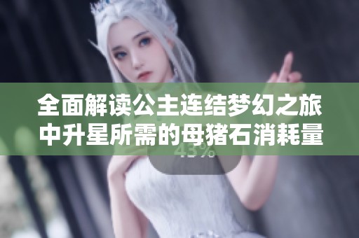 全面解读公主连结梦幻之旅中升星所需的母猪石消耗量指南