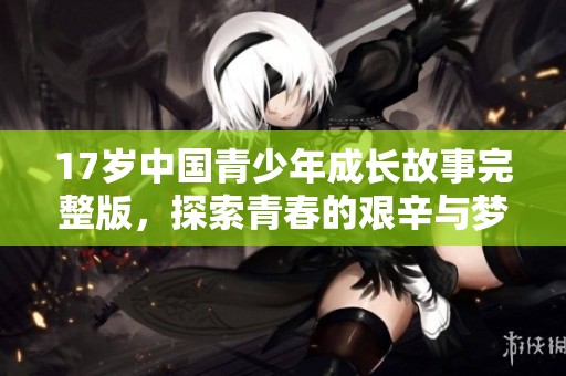 17岁中国青少年成长故事完整版，探索青春的艰辛与梦想