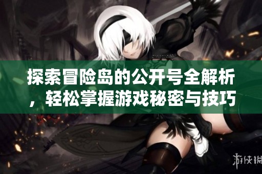 探索冒险岛的公开号全解析，轻松掌握游戏秘密与技巧