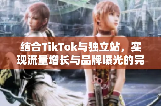结合TikTok与独立站，实现流量增长与品牌曝光的完美策略