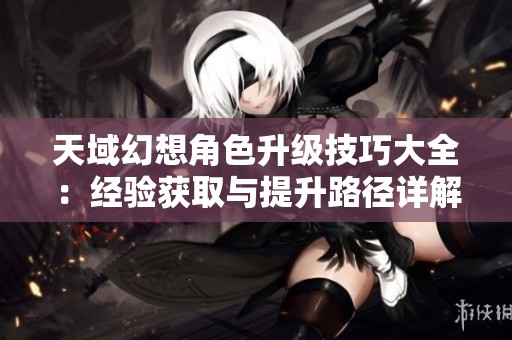 天域幻想角色升级技巧大全：经验获取与提升路径详解