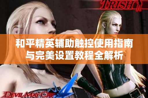 和平精英辅助触控使用指南与完美设置教程全解析