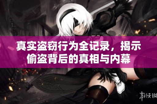 真实盗窃行为全记录，揭示偷盗背后的真相与内幕