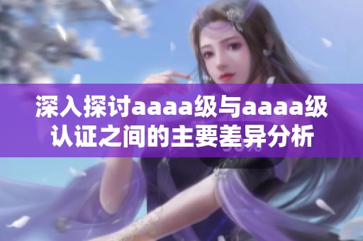 深入探讨aaaa级与aaaa级认证之间的主要差异分析