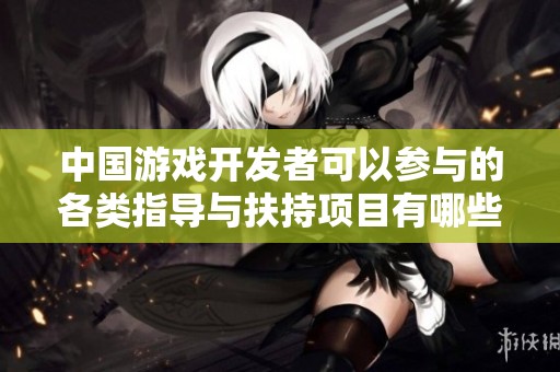中国游戏开发者可以参与的各类指导与扶持项目有哪些？