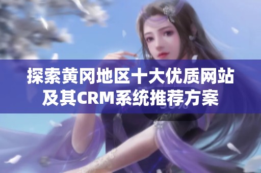 探索黄冈地区十大优质网站及其CRM系统推荐方案