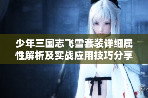 少年三国志飞雪套装详细属性解析及实战应用技巧分享