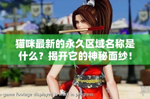 猫咪最新的永久区域名称是什么？揭开它的神秘面纱！