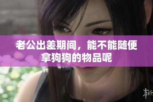 老公出差期间，能不能随便拿狗狗的物品呢