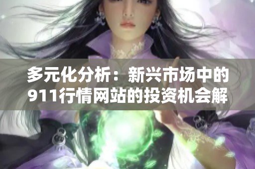 多元化分析：新兴市场中的911行情网站的投资机会解析
