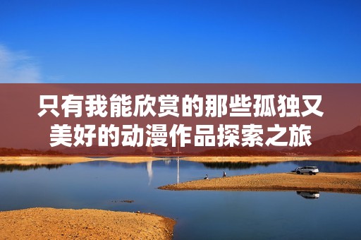只有我能欣赏的那些孤独又美好的动漫作品探索之旅