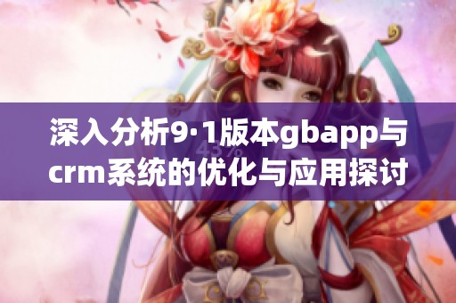 深入分析9·1版本gbapp与crm系统的优化与应用探讨