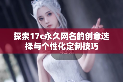 探索17c永久网名的创意选择与个性化定制技巧