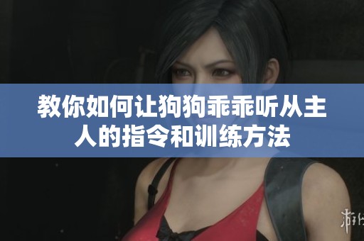 教你如何让狗狗乖乖听从主人的指令和训练方法