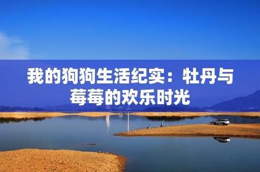 我的狗狗生活纪实：牡丹与莓莓的欢乐时光