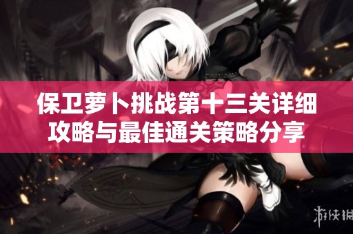 保卫萝卜挑战第十三关详细攻略与最佳通关策略分享