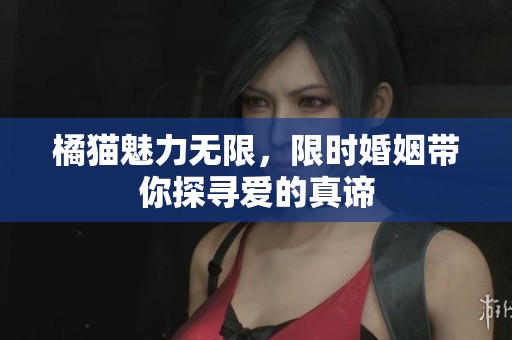 橘猫魅力无限，限时婚姻带你探寻爱的真谛