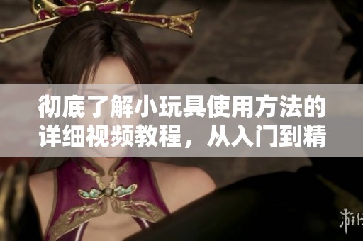 彻底了解小玩具使用方法的详细视频教程，从入门到精通全覆盖