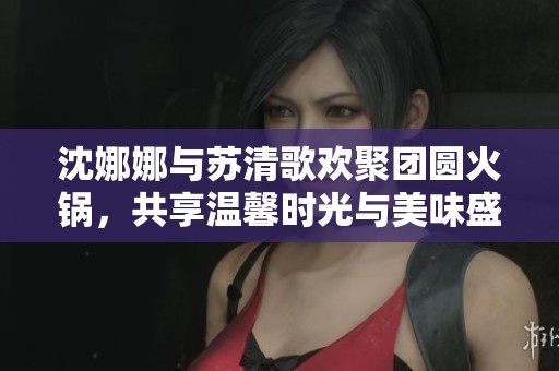 沈娜娜与苏清歌欢聚团圆火锅，共享温馨时光与美味盛宴