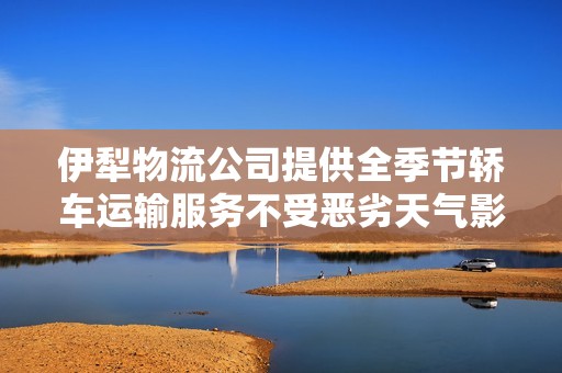 伊犁物流公司提供全季节轿车运输服务不受恶劣天气影响