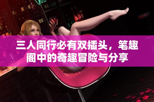 三人同行必有双插头，笔趣阁中的奇趣冒险与分享