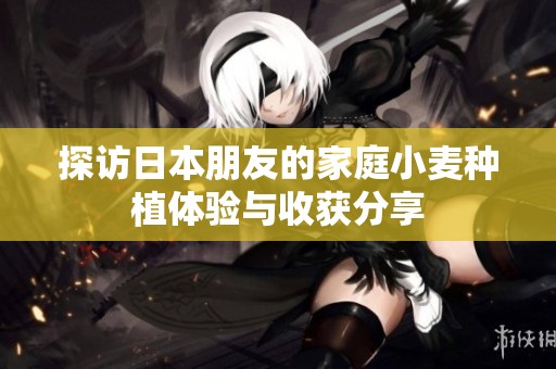 探访日本朋友的家庭小麦种植体验与收获分享