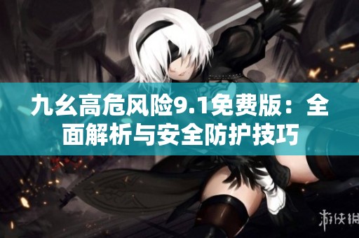 九幺高危风险9.1免费版：全面解析与安全防护技巧