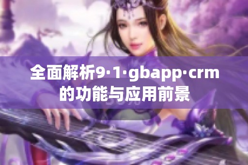 全面解析9·1·gbapp·crm的功能与应用前景