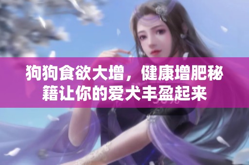 狗狗食欲大增，健康增肥秘籍让你的爱犬丰盈起来