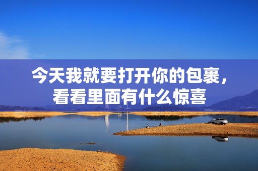 今天我就要打开你的包裹，看看里面有什么惊喜