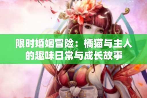 限时婚姻冒险：橘猫与主人的趣味日常与成长故事
