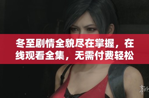 冬至剧情全貌尽在掌握，在线观看全集，无需付费轻松享受