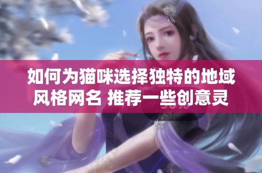 如何为猫咪选择独特的地域风格网名 推荐一些创意灵感