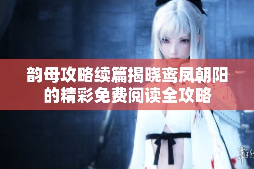 韵母攻略续篇揭晓鸾凤朝阳的精彩免费阅读全攻略