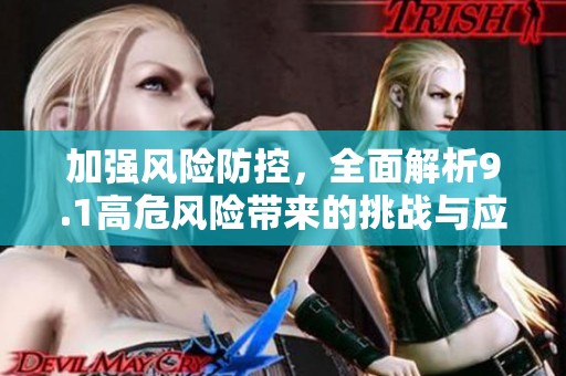 加强风险防控，全面解析9.1高危风险带来的挑战与应对策略