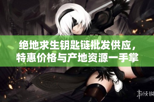 绝地求生钥匙链批发供应，特惠价格与产地资源一手掌握