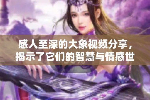 感人至深的大象视频分享，揭示了它们的智慧与情感世界