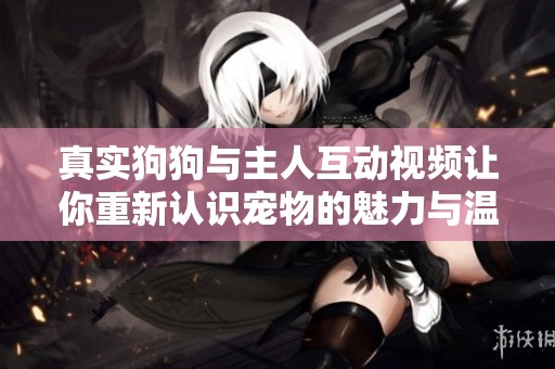 真实狗狗与主人互动视频让你重新认识宠物的魅力与温暖