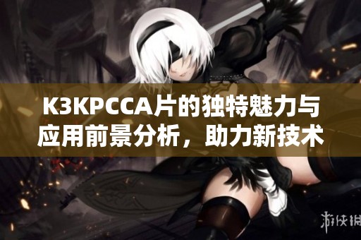 K3KPCCA片的独特魅力与应用前景分析，助力新技术发展之道
