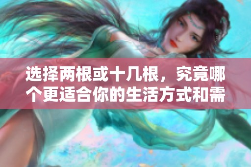 选择两根或十几根，究竟哪个更适合你的生活方式和需求呢