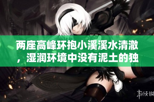 两座高峰环抱小溪溪水清澈，湿润环境中没有泥土的独特风貌