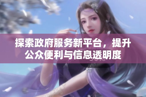探索政府服务新平台，提升公众便利与信息透明度